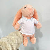 Easter gift 35cm bunnies Easter Bunny with removable Blank Sublimation shirts_USPNY