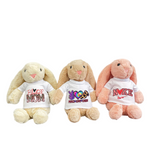 Easter gift 35cm bunnies Easter Bunny with removable Blank Sublimation shirts_USPNY