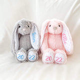 Easter Bunnies Sublimation Blank Bunny generation 1 Feets and Ears_USPNY